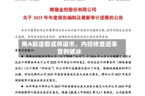两A股造假或将退市，内控核查迎来首例破冰