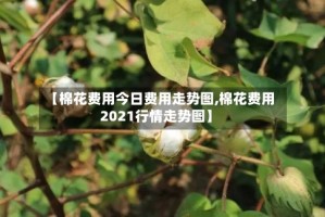 【棉花费用今日费用走势图,棉花费用2021行情走势图】