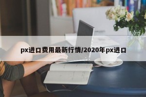px进口费用最新行情/2020年px进口