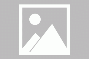 【动力煤走势实时行情,动力煤近期走势】