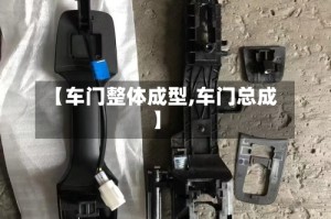【车门整体成型,车门总成】
