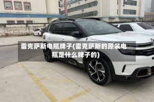 雷克萨斯电瓶牌子(雷克萨斯的原装电瓶是什么牌子的)