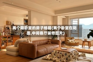 两个阳卧室的房子格局(两个卧室在阳面,中间客厅装修图片)