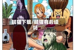 贼猫下载/贼猫有后续吗