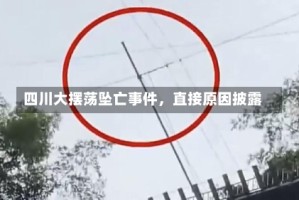 四川大摆荡坠亡事件，直接原因披露