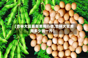 【吉林大豆最新费用行情,吉林大豆费用多少钱一斤】
