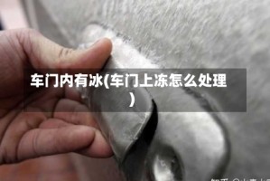 车门内有冰(车门上冻怎么处理)