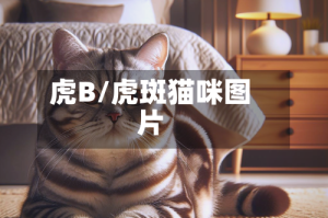 虎B/虎斑猫咪图片