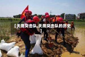 【天鹰突击队,天鹰突击队的历史】