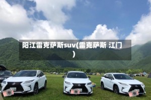 阳江雷克萨斯suv(雷克萨斯 江门)