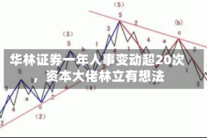 华林证券一年人事变动超20次，资本大佬林立有想法