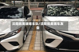 沈阳凯美瑞婚车队/沈阳凯美瑞车友会