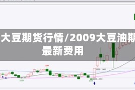 09年大豆期货行情/2009大豆油期货最新费用