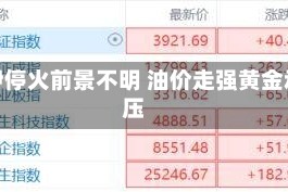 美伊停火前景不明 油价走强黄金承压