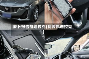 萝卜报告凯迪拉克(我要凯迪拉克)