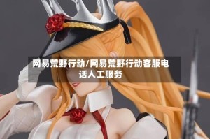 网易荒野行动/网易荒野行动客服电话人工服务