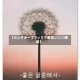 【ロングホープフィリア歌词,걱정말아요歌词】