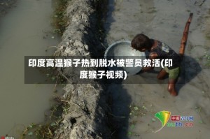 印度高温猴子热到脱水被警员救活(印度猴子视频)