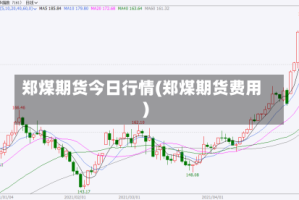 郑煤期货今日行情(郑煤期货费用)