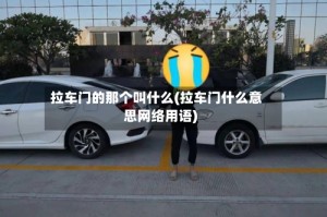 拉车门的那个叫什么(拉车门什么意思网络用语)
