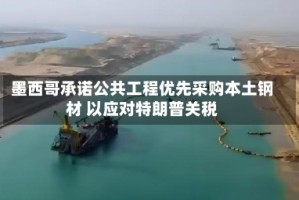 墨西哥承诺公共工程优先采购本土钢材 以应对特朗普关税