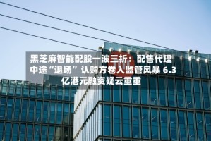 黑芝麻智能配股一波三折：配售代理中途“退场” 认购方卷入监管风暴 6.3亿港元融资疑云重重