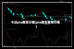 今日pta期货行情(pta期货费用行情)