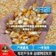 【淀粉费用最新行情走势,淀粉费用最新报价】