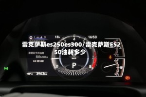 雷克萨斯es250es300/雷克萨斯ES250油耗多少