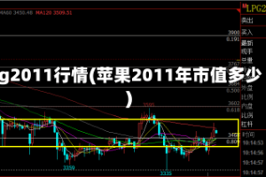 pg2011行情(苹果2011年市值多少)