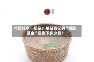 竹篮打水一场空？单日百亿的“爆款基金”还剩下多少钱？