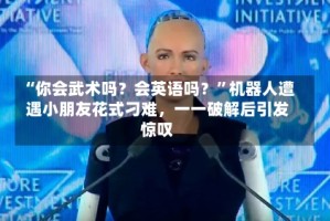 “你会武术吗？会英语吗？”机器人遭遇小朋友花式刁难，一一破解后引发惊叹
