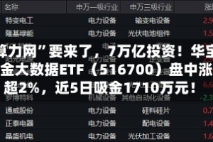 “算力网”要来了，7万亿投资！华宝基金大数据ETF（516700）盘中涨超2%，近5日吸金1710万元！