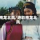 南龙北凤/港剧南龙北凤