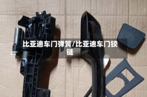 比亚迪车门弹簧/比亚迪车门铰链