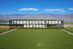 【宁夏最新玉米批发市场,宁夏最新玉米批发市场地址】