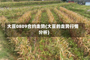 大豆0809合约走势(大豆的走势行情分析)