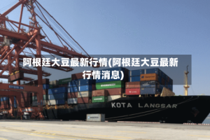 阿根廷大豆最新行情(阿根廷大豆最新行情消息)