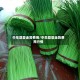 中牟蒜薹走势费用/中牟蒜薹走势费用行情