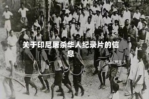 关于印尼屠杀华人纪录片的信息