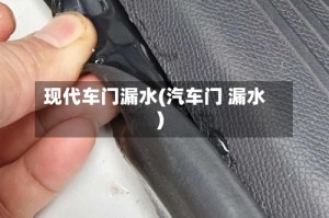 现代车门漏水(汽车门 漏水)