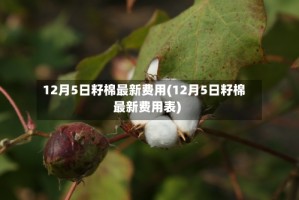 12月5日籽棉最新费用(12月5日籽棉最新费用表)