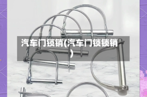 汽车门锁销(汽车门锁锁销)