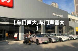 【车门声大,车门声音大】