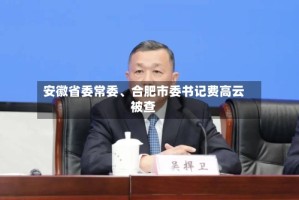 安徽省委常委、合肥市委书记费高云被查