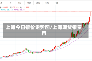 上海今日银价走势图/上海现货银费用