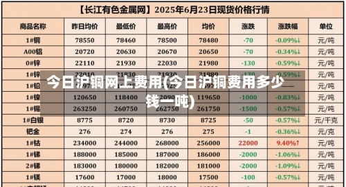 今日沪铜网上费用(今日沪铜费用多少钱一吨)-第2张图片