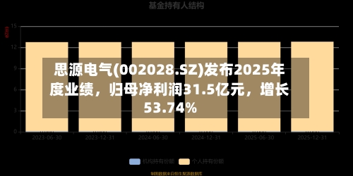 思源电气(002028.SZ)发布2025年度业绩，归母净利润31.5亿元，增长53.74%-第2张图片