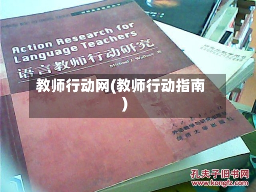 教师行动网(教师行动指南)-第2张图片