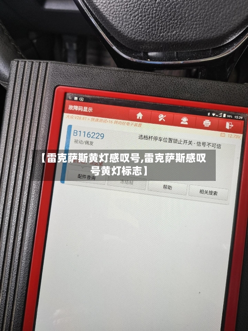 【雷克萨斯黄灯感叹号,雷克萨斯感叹号黄灯标志】-第3张图片